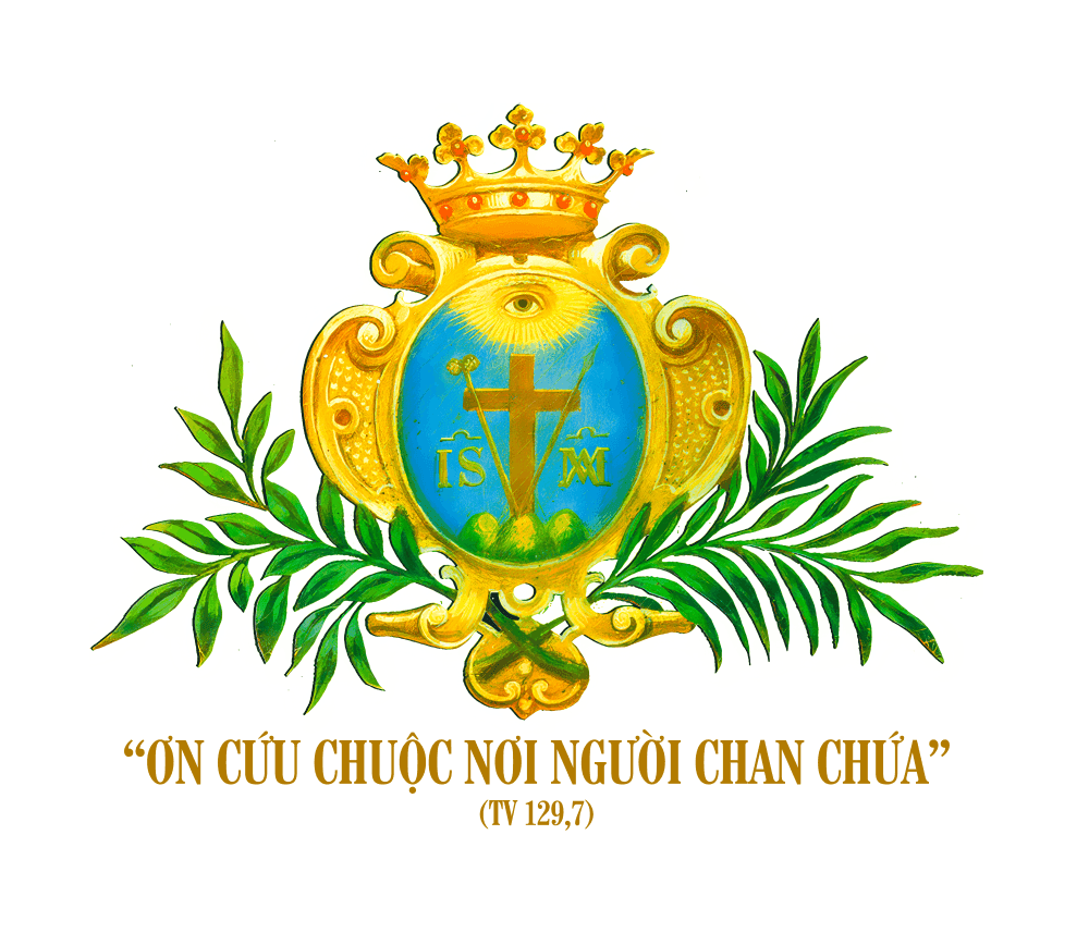 Tấm chiếu mới